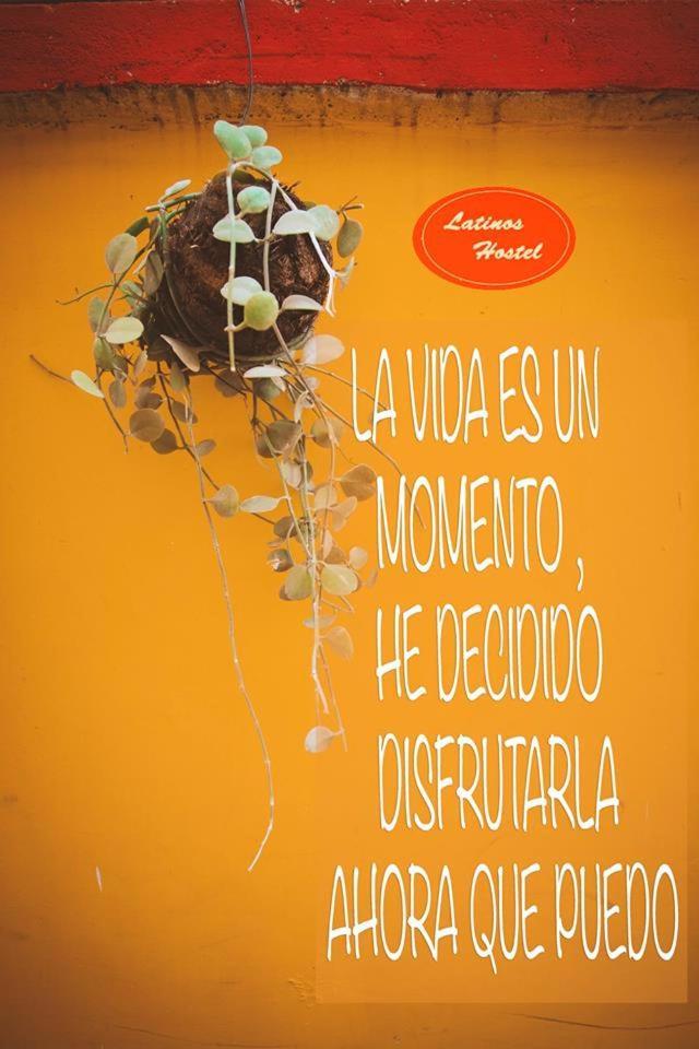 Latinos Hostel 시엠리아프 외부 사진